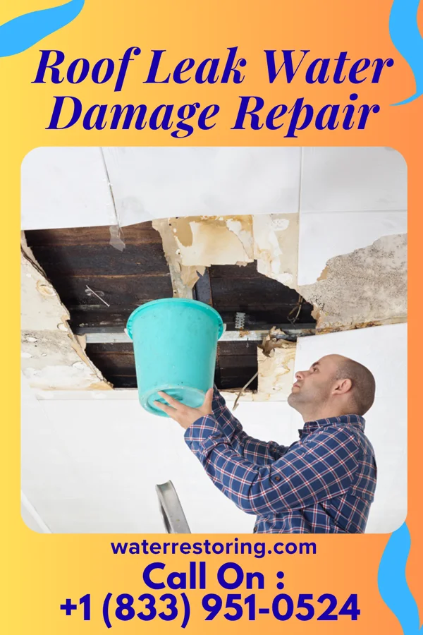 Roof Leak Water Damage Repair in Truesdale, IA